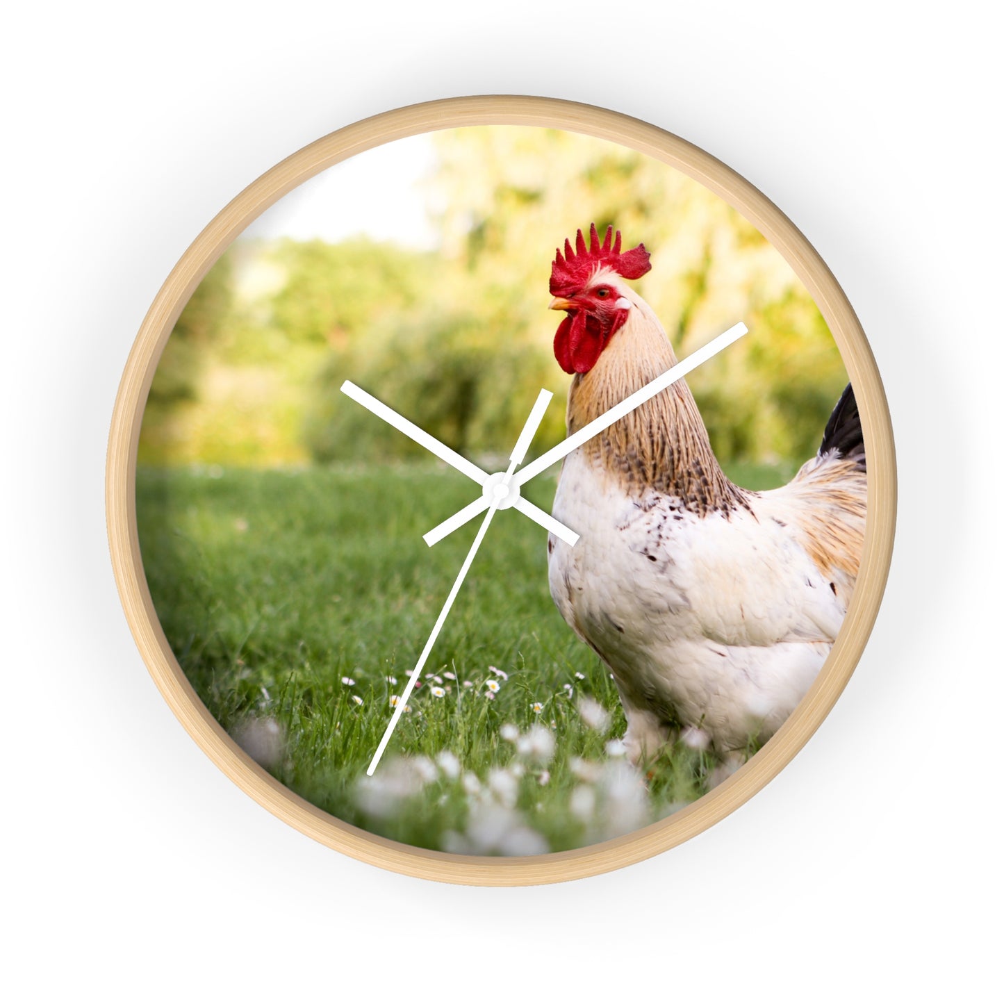 Rooster Wall Clock, No Numbers