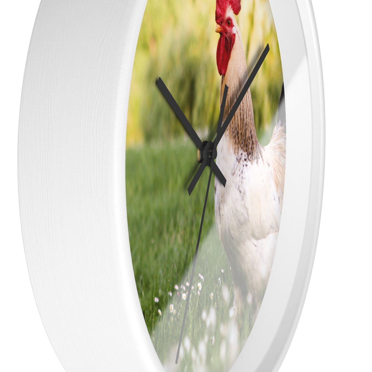 Rooster Wall Clock, No Numbers