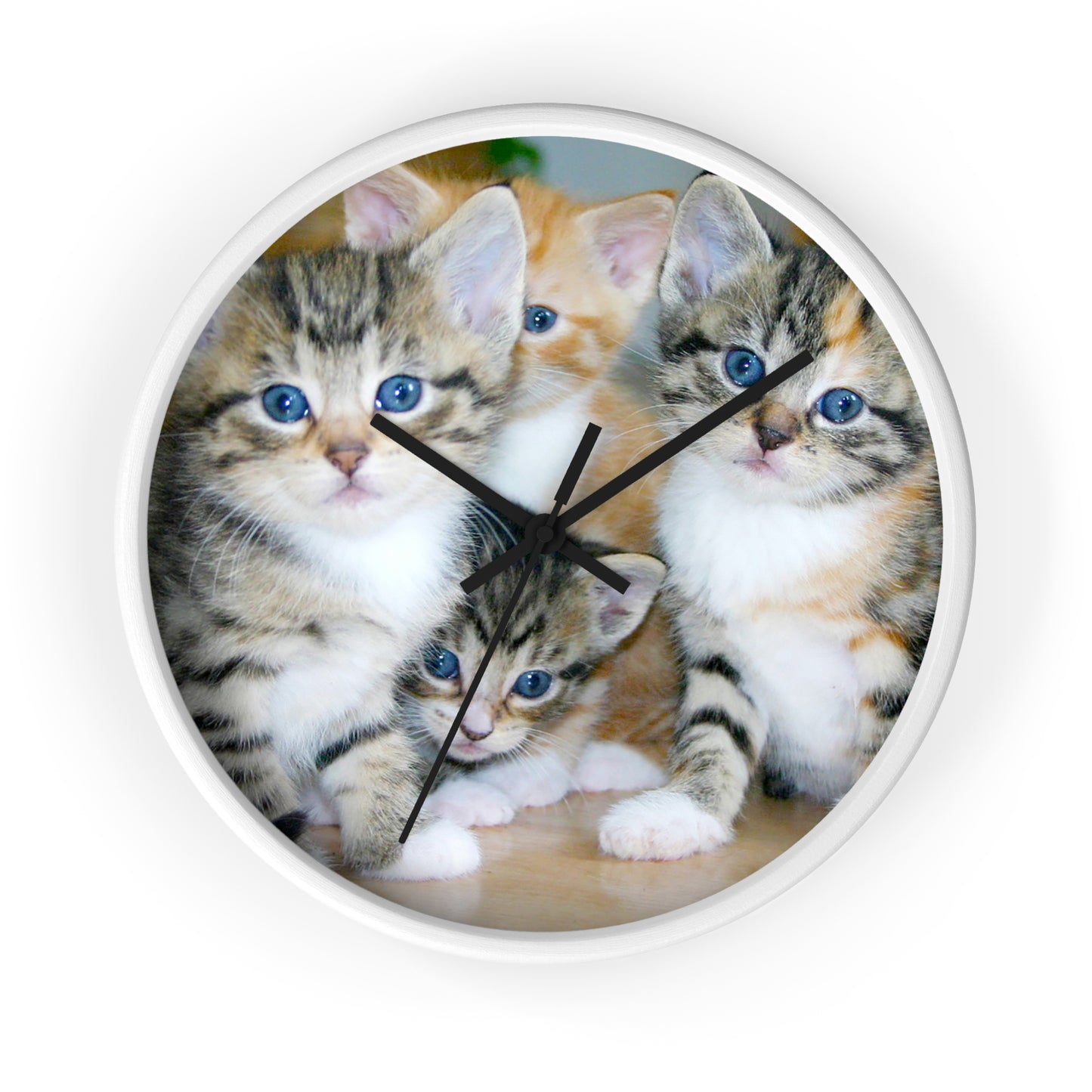 Kittens Wall Clock, No Numbers