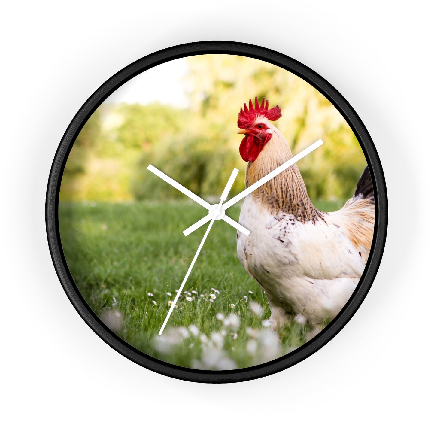 Rooster Wall Clock, No Numbers