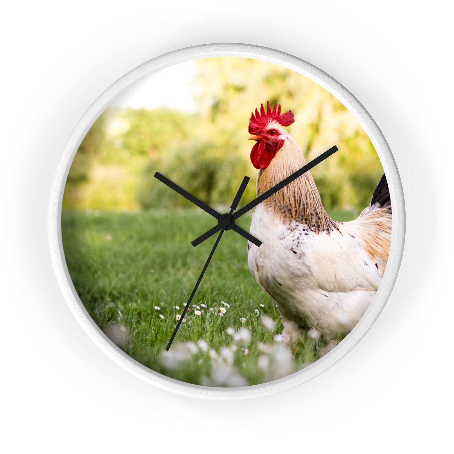 Rooster Wall Clock, No Numbers